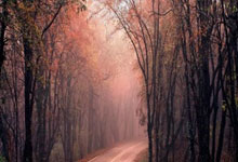 比赛回顾：欧国联上演激烈角逐！