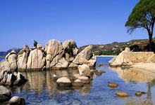 解放者杯深圳燕子山竞技乐团夺冠